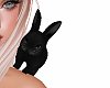 Bun! Blck Shoulder Bunny