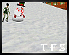 Ice Skating With Snowman