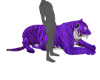 ☢ Ani Tiger Purple