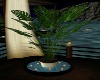 (TRL) Island Plant