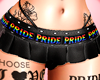 Goth Pride Day Skirt