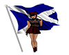 *VR* Scotland Flag