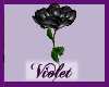 (V)black PVC Rose hold