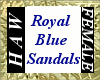 Royal Blue Sandals - F
