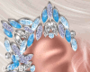 C~Crystal/Ice Earrings