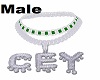 Custom Cey Chain Male