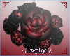 Rose Red Shoulder