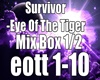 Eye Of The Tiger Mix 1/2