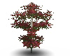 SN Small  Tree