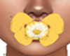 Yellow Flower Binky