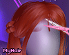 sakra ginger