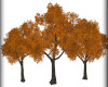 Fall Trees