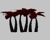 BLOOD RED PALM TREES