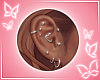♥ big ears + piercings