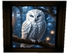 Framed white owl 10