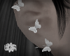 𑁤' BUTTRFLY EAR 𑁤