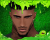 WW Head Mh