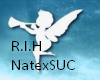 NatexMROxSUC R.I.P