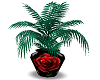 Red Rose Vase Plant