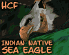 HCF indian native eagle