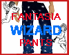 Fantasia Wizard Pants
