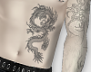 Dragon Belly