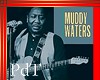 PdT Muddy Waters Framed