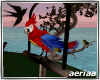 *Bird* Parrot