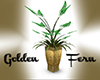 Golden Fern