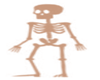 standing spot skeleton