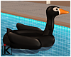 |K 🌊 Float Black Swan