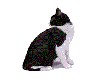 Black&white cat animated
