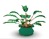plant green pot