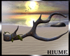 H* Sea Trunk