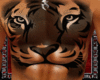 Tiger Chest Tattoo Men