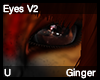 Ginger Eyes V2