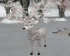 Winter Deer 3