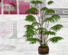 Tall Plant - Modern Pot