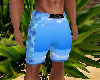 Men's Swim Trunks