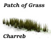 !Patch of Grass
