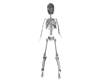 dancing skeleton 2smokin