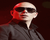 mp3 Pitbull (rapper)