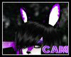 [CAM] Gala Bunny Ears
