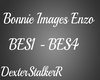 Bonnie Images Enzo TVD