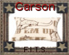 carson pillow 1