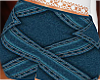 BBW Denim Skirt