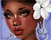 T | Lilly T4