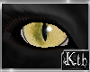 Kth Cat Eyes Rgm