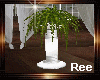 Ree|WEDDING PLANT