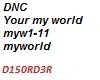 Dnc - My World